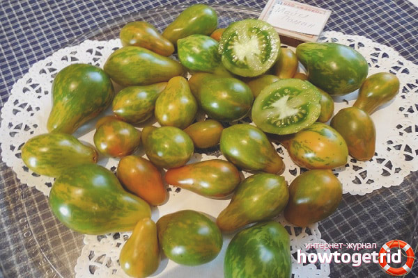 Michael Pollan Tomatoes