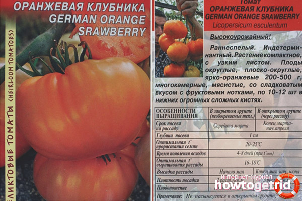 Orange Strawberry Varieties