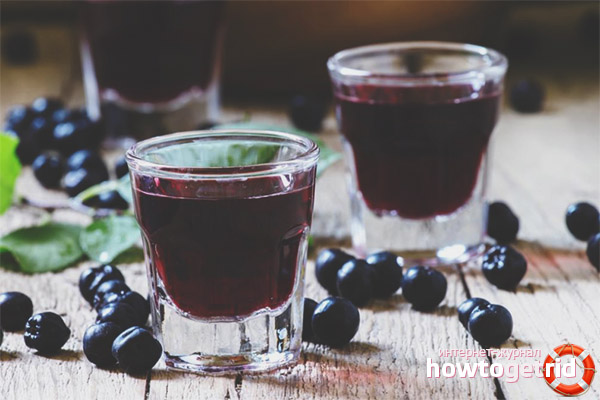 Blackberry tincture recipes