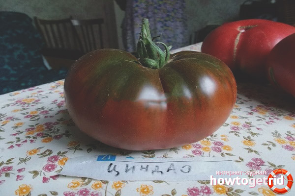 Qingdao Tomato