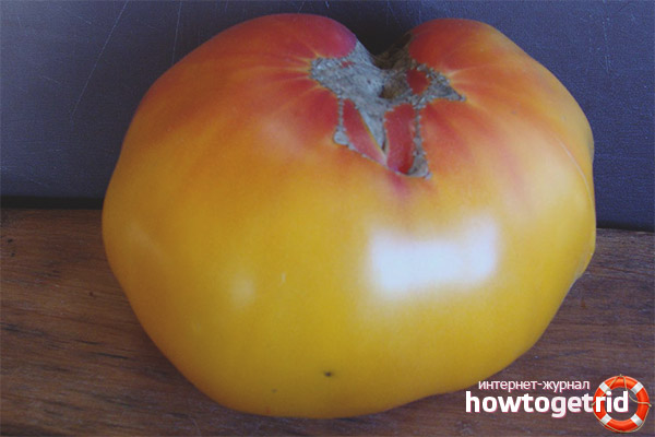 Tomaten-Virginia-Süßigkeit