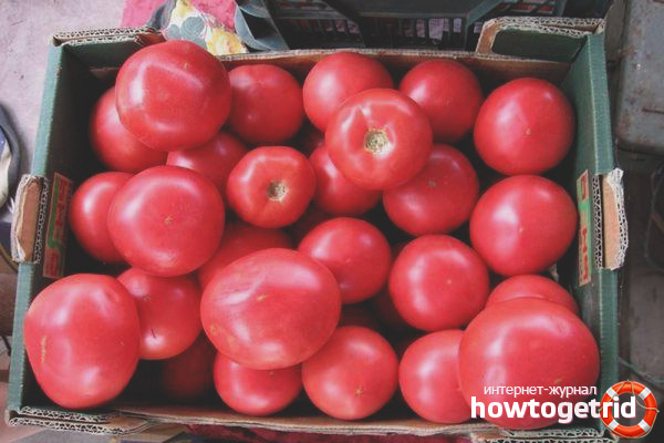 Tomato Pink Solution