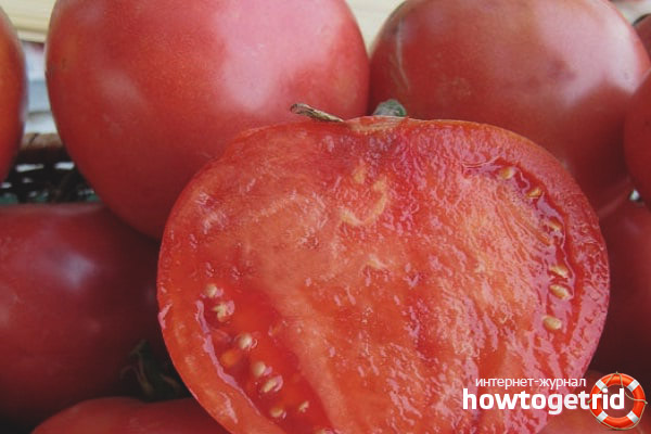 Smoothie aux tomates