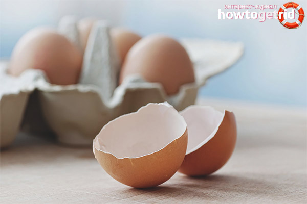 Egg Shell Daily Value