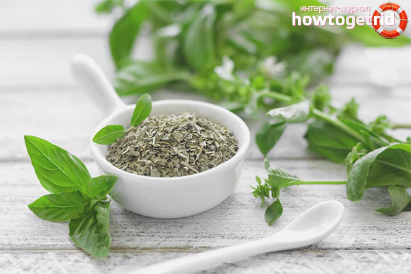 How to use basil for treatment