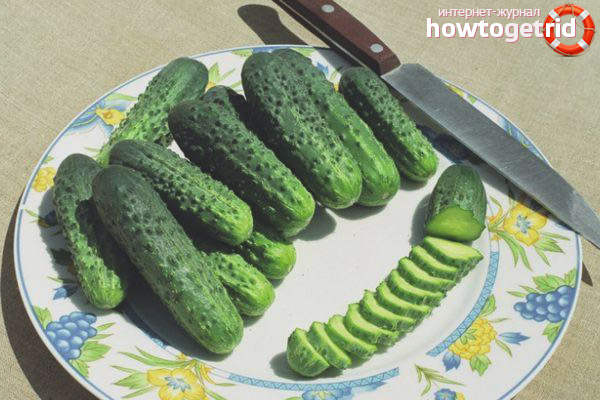 Cucumber Alliance F1