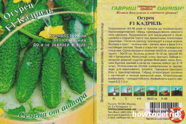 Cucumber Quadrille F1