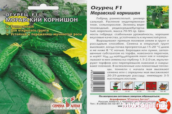 Cucumber Moravian Gherkin F1