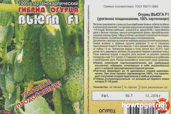 Cucumber Blizzard F1