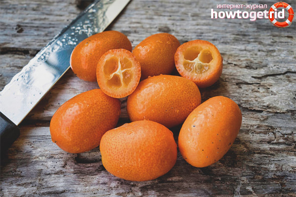 Useful properties of kumquat