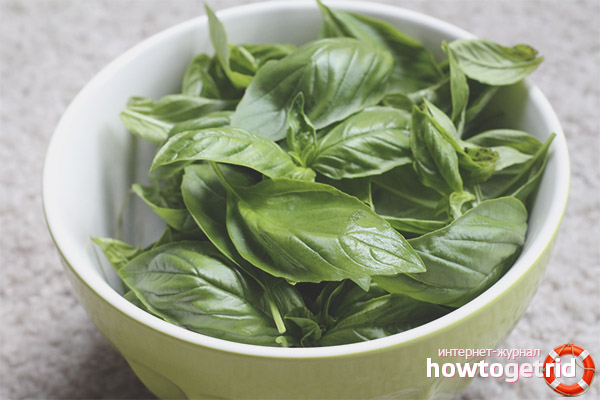 The benefits of basil