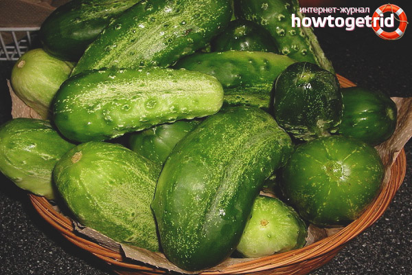 Son of the F1 regiment