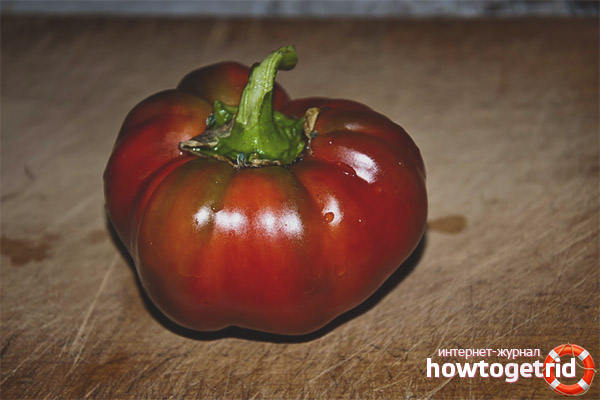 Gogoshara Pepper Care