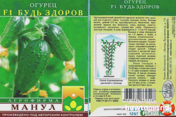 Growing cucumbers varieties Be healthy