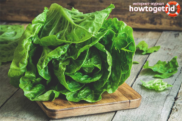 Leaf lettuce in cosmetology