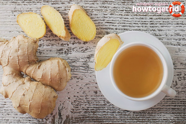 The use of ginger for weight loss