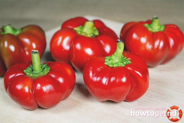 Pepper gingerbread man