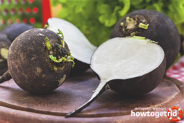 Therapeutic and prophylactic effect of black radish