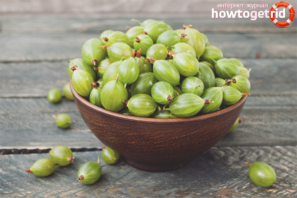 Gooseberry Benefits
