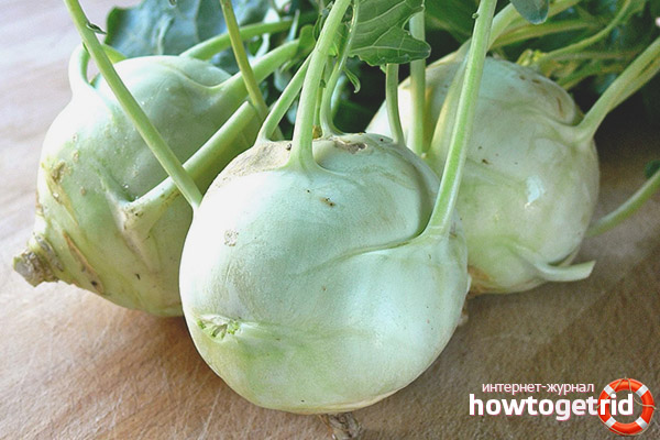 Ways to save and harvest kohlrabi cabbage