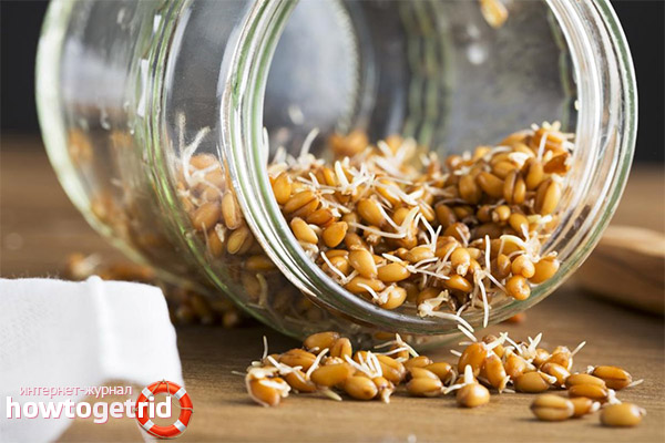 How to store sprouted wheat