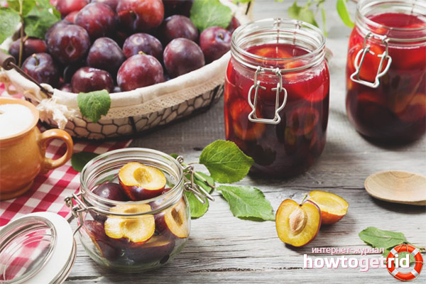 Plum Compote Recipes