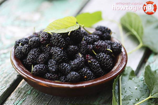 What is useful for mulberry