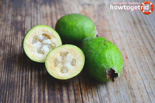 Feijoa for children