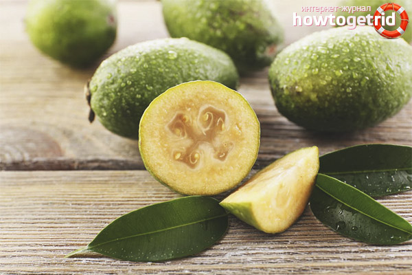 Feijoa treats for children